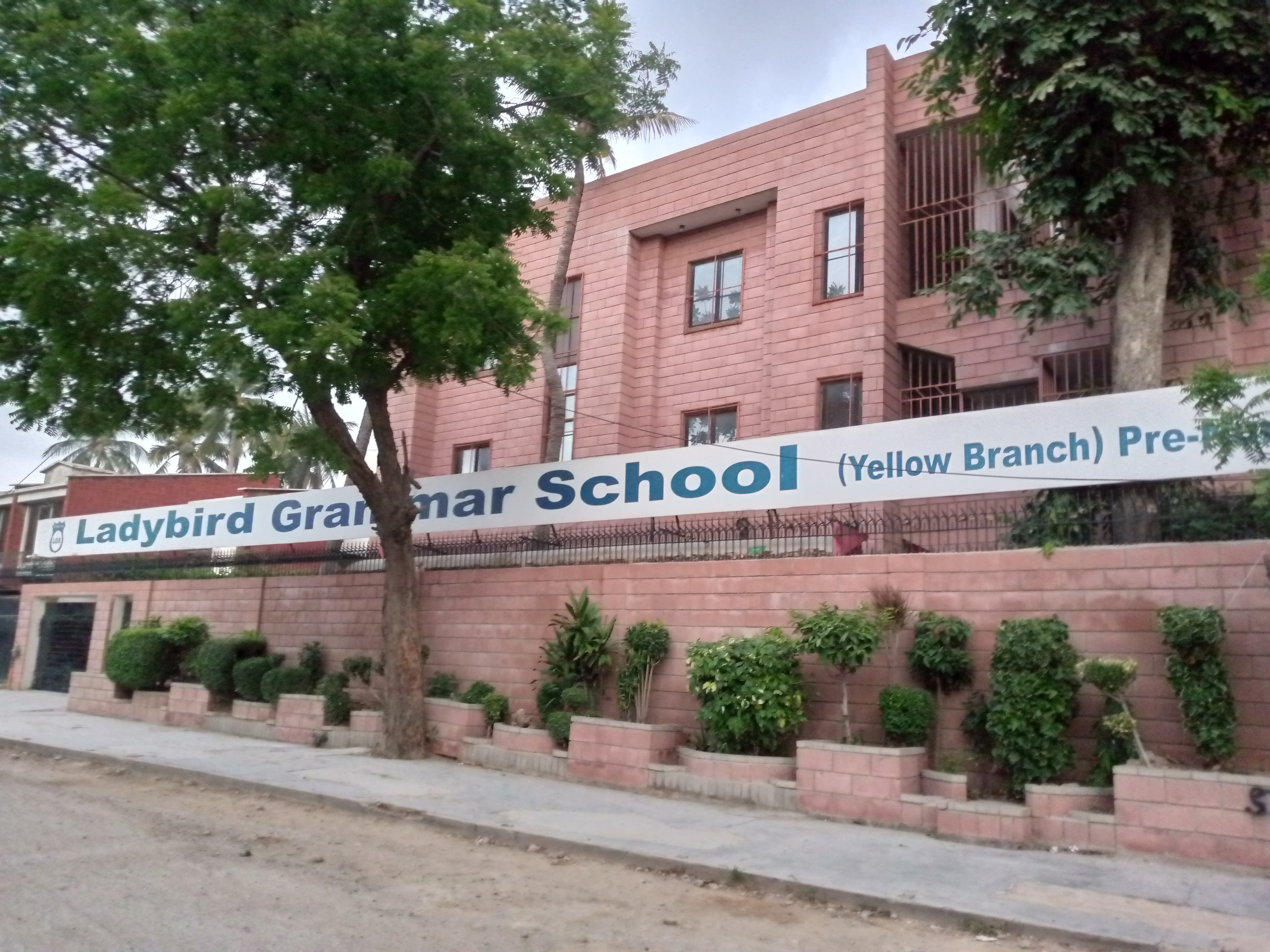 Ladybird Grammar School Yellow — North Nazimabad